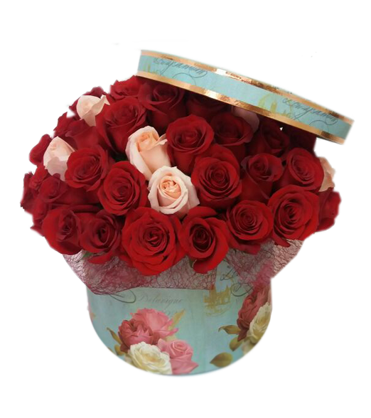 100 Rosas en hermosa caja 